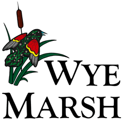 Wye Marsh Wildlife Centre